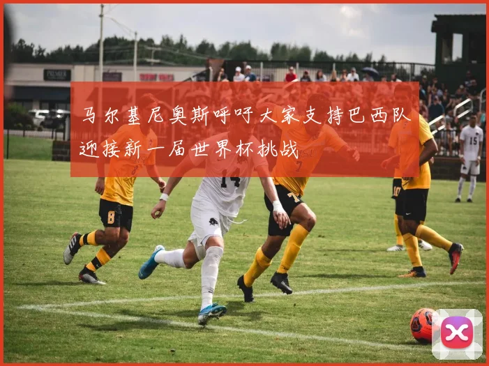 马尔基尼奥斯呼吁大家支持巴西队迎接新一届世界杯挑战