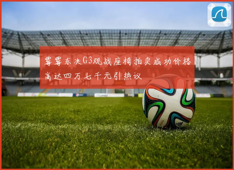 霉霉东决G3观战座椅拍卖成功价格高达四万七千元引热议