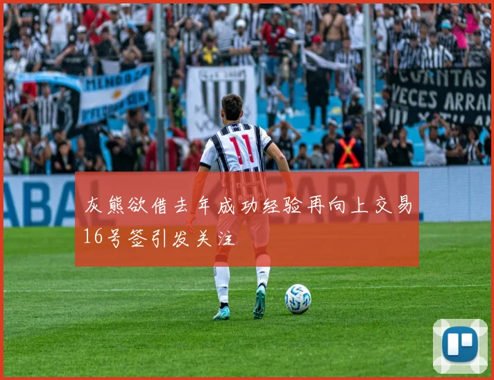 灰熊欲借去年成功经验再向上交易16号签引发关注